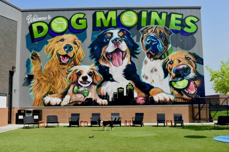 wall mural of "dog Moines"