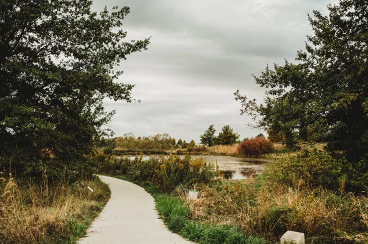 The Brenton Arboretum