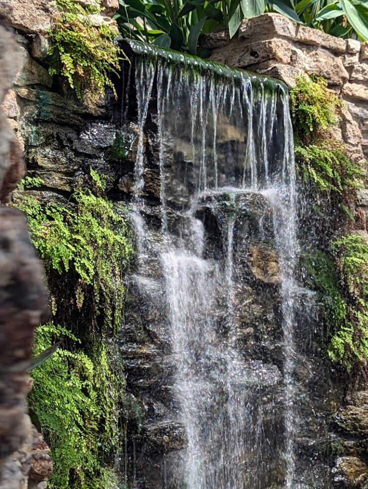 Waterfall inside DSM Botanical Gardens