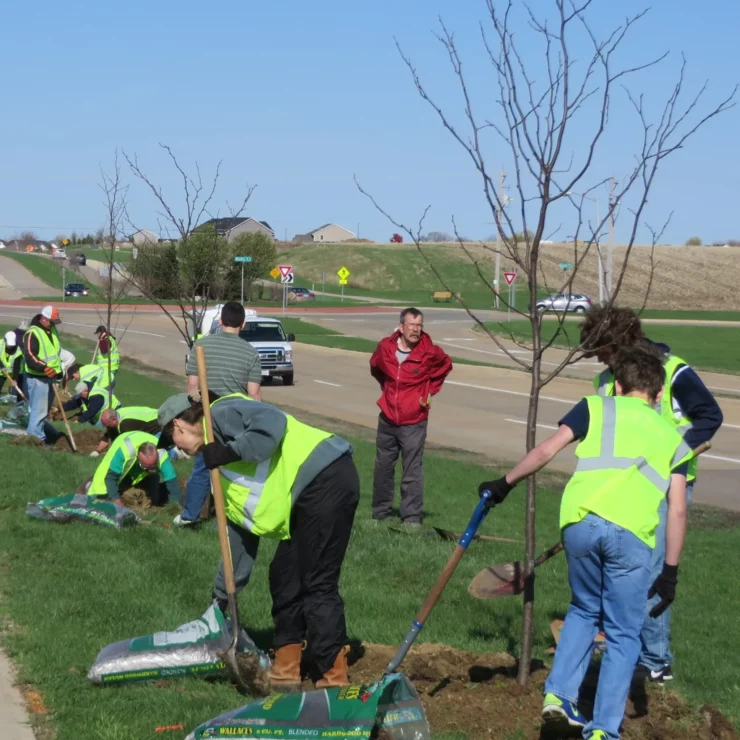 Trees Forever Volunteers